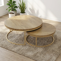 Table basse 2-en-1 pour la maison, 20*20*1.0, en tube de fer thermolaqué, MDF stratifié 40mm avec décalcomanie, mobilier de salon