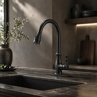 Keran Dapur Modern Hitam Matte Pegangan Tunggal dengan Semprotan Tarik, Kuningan Padat Putar 360 Derajat untuk Hotel & Kamar Mandi OEM