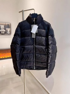 Giacca Piumino da Uomo Slim-Fit Casual con Collo Alto e Cerniera, Calda e Spessa, <span class=keywords><strong>Trendy</strong></span> per l'Inizio dell'Inverno 2026 - Product Image 1