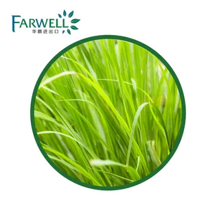 Farwell High Quality Natural Lemongrass Oil For Cosmetic Oil CAS#8007-02-1