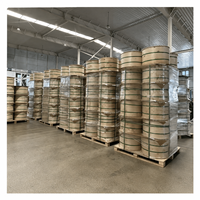 Câble Fibre Optique Intérieur LSZH PVC GJFJV à Gaine Tense 4, 6, 8, 12, 24 Cœurs pour Salle de Télécommunications, Centre de Données et Réseau Intérieur