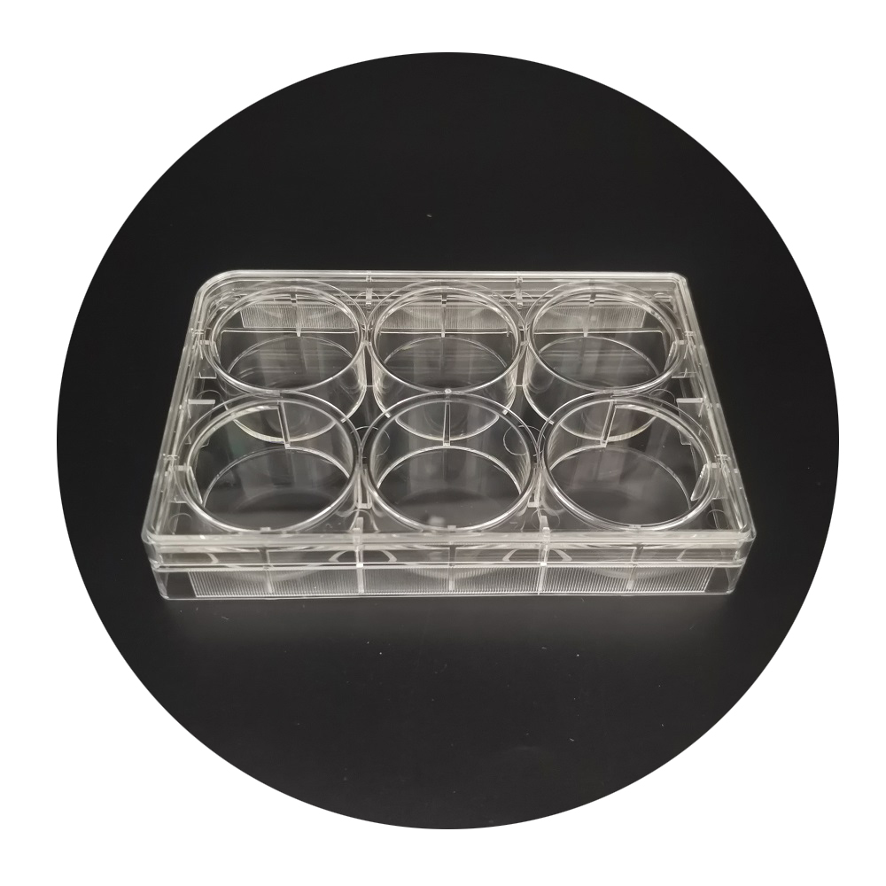 6/12/24/48/96-хорошо PS Культура клеток плиты для ячейка для лаборатории культуры пластина 6