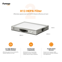 Cartouche de filtre HEPA de remplacement VEVOR DX2000II pour extracteur de fumée/fumiges, avec charbon actif - Nouveau pour les machines Fumego