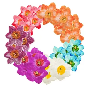 12 pz/borsa cinese giglio sacro/narcisi/fiori Joss fiori pressati - Product Image 1