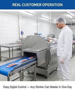 Trancheuse à viande congelée haute performance 500-1200 kg/h, remplace 5-8 ouvriers, coupe-viande automatique pour bacon et steak, SUS304 pour usine - Product Image 5