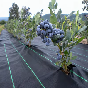 แผ่นคลุมดินสำหรับการเกษตร ผลิตจาก PP ทอ ทนทาน ย่อยสลายได้ ป้องกันวัชพืช ทนรังสียูวี - Product Image 6