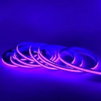 Bande lumineuse LED flexible Dream Color adressable COB 12V/24V USB 5m 720LED/m RGBIC Tira Pixel