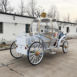 รถ<span class=keywords><strong>ม้า</strong></span>ฟักทองใช้แบตเตอรี่ไฟฟ้าใช้สำหรับงานแต่งงาน<span class=keywords><strong>ม้า</strong></span>ฟักทองรถ<span class=keywords><strong>ม้า</strong></span>ยี่ห้อ Zhenda - Product Image 5