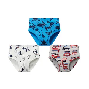 Wholesale/ODM/OEM Cute Kids Underwear Cotton Little Children Teen Boys Briefs