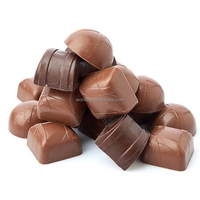 Machine à fondre le chocolat par vibration AEAI avec moteur, équipement de traitement du chocolat liquide