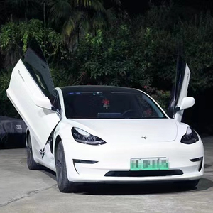 Kit Speciale per Porte Verticali Stile Lambo per Tesla Model 3 - Product Image 1