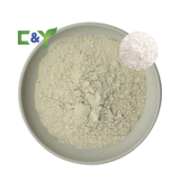 Poudre de protéines de riz brun Prix de gros Poudre de riz brun en vrac Poudre de protéines de riz