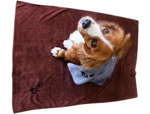 Serviette de bain et de toilettage pour animaux de compagnie en microfibre douce super absorbante pour chiens et chats, pour les toiletteurs mobiles, serviette pour chien pour le nettoyage et le bain - Product Image 3