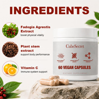 Capsules d'énergie et de vitalité OEM, extrait de tige de Fadogia Agrestis, vitamine C, force musculaire, 60 capsules végétaliennes