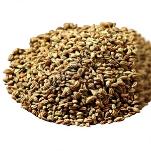Graines de cumin indien entières séchées, épice naturelle, graines d'ajwain séchées entières - Product Image 1