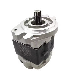 Bomba de Aceite Hidráulica GANGLI de Calidad de Fábrica SGP SGP2A30L723 SGP2A52L723 SGP1A31 9L438 Engranaje 0.5 HP 100 Bar 1/4 Pulgada - Product Image 6