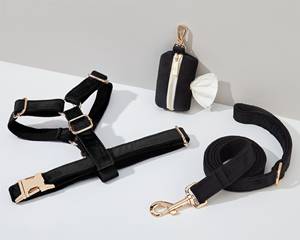 ชุดสายจูงและสุนัขพันธุ์วีทสีดำใช้ในสายจูงสุนัข + ปลอกคอ + โบว์ไท + ที่ใส่ถุงใส่อุจจาระไม่มีสายรัดสำหรับงานแต่งงาน - Product Image 5