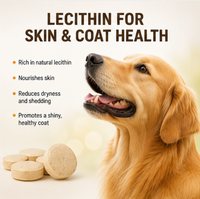 Multivitamínico 8 en 1 de Marca Propia, 120 Masticables Blandos para Perros y Gatos - Apoyo Digestivo e Inmunológico, Salud de la Piel y el Pelaje