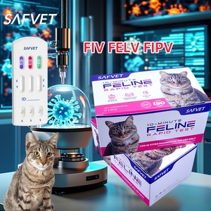 Kit de prueba de antígeno Fip veterinario, suplemento para mascotas, gato, felino, peritonitis infecciosa, antígeno Fipv, prueba rápida, tratamiento para gatos - Product Image 1