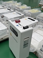 Module de stockage d'énergie LFP 51,2 V 200 Ah 314 Ah 10 kWh 16 kWh avec diagnostic automatique des pannes, pour accumulateur d'énergie solaire à grande échelle en configuration multi-parallèle