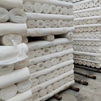 Tissu de doublure en pongé tissé 100 % polyester 75D 210T - Tissu d'ameublement imperméable à séchage rapide - Prix de gros usine