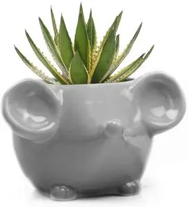 Groothandel Keramische Aardewerk Cartoon Animal Rat Uil Vos Beer Cactus Bloempotten Mini Keramiek Succulente Planter Bloempot