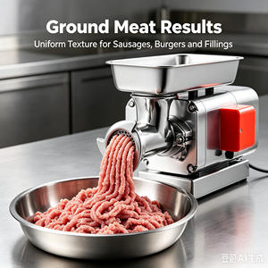 New Stainless Steel Electric Meat Mincer Single Phase with 1 Blade and Attachments for Sausage Dumpling <b>Paste</b> Processing - Product Image 3