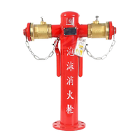Hydrant d'incendie en fonte ductile à alimentation directe pour véranda, équipement de lutte contre l'incendie portable 100 mm pour application de protection incendie
