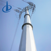 Tour de transmission d'énergie tubulaire en acier Q235/Q255 galvanisé à chaud, haute tension 132 kV, norme GB/ANSI/TIA-222-G