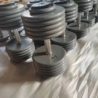 Ensemble d'haltères en acier de qualité supérieure avec surface vernie pour la salle de sport et la maison