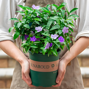 Macetas Redondas para Plantas de Vivero, para Uso en el Hogar y Jardín, Macetas de Plástico Ecológicas con Orificio de Drenaje, Macetas Duraderas para Interiores y Exteriores al por Mayor - Product Image 2