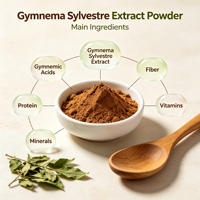 Poudre d'extrait de feuille de Gymnema Sylvestre de qualité alimentaire pure, la plus vendue, emballée sous vide en fût