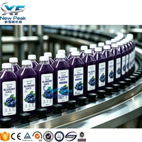 Nouvelles machines de remplissage automatique de jus Peak, machine de remplissage à chaud pour la production de jus de fruits frais NFC, ligne de remplissage pour usine