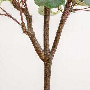 Plante d'<span class=keywords><strong>Intérieur</strong></span> Simulation d'<span class=keywords><strong>Eucalyptus</strong></span> en <span class=keywords><strong>Pot</strong></span> Homestay Salon Décoration de Sol Arbre d'Argent Plante Verte Ornements Bonsaï - Product Image 6