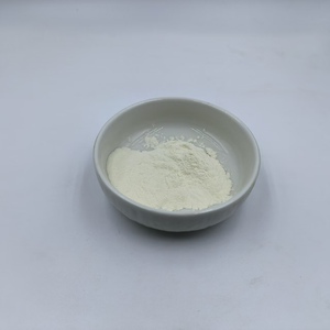 Elastina Hidrolizada Pura en Polvo/Péptido de Elastina de Grado Cosmético para el Cuidado de la Piel - Product Image 3