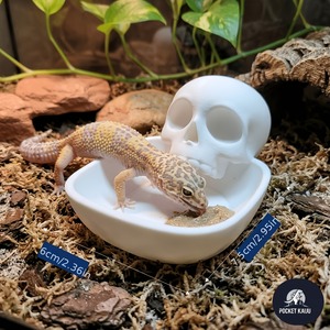 Gamelle pour dragon barbu en forme d'os d'Halloween, imprimée en 3D, anti-déversement, pour gecko léopard et lézard - Product Image 4