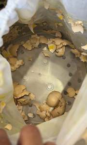 เครื่องแยกไข่แดงไข่ขาวสแตนเลสคุณภาพดีที่สุด พร้อมที่ตีและเครื่องผสมสำหรับทำขนมอบ - Product Image 4