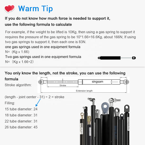 Vérin à gaz <span class=keywords><strong>de</strong></span> 22 mm <span class=keywords><strong>de</strong></span> diamètre avec joint en plastique, ressort à gaz en acier, capacité <span class=keywords><strong>de</strong></span> charge <span class=keywords><strong>de</strong></span> 44 lb, pièces détachées automobiles directement du fournisseur chinois - Product Image 5