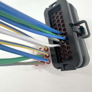 カスタム新エネルギー車ケーブルアセンブリ電動スクーターワイヤーハーネス - Product Image 2