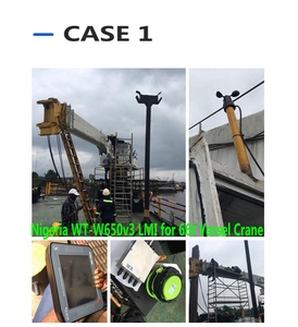 رافعة بحرية 650V3 معتمدة من Favelle Favco ATEX مع مؤشر تحميل آمن وحالة جديدة لمصانع التصنيع - Product Image 5