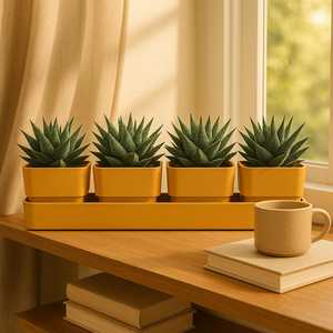 <b>Rectangular</b> Planter 48x12x11 Cm With 4 <b>Pots</b> And Saucer Color Snow - Product Image 6