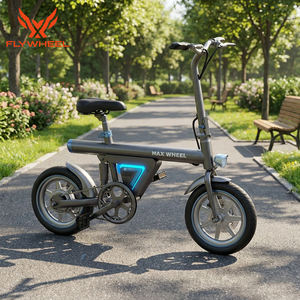 Bicicleta Eléctrica Plegable en Promoción, Bicicleta Eléctrica Urbana Elegante y Económica para Ciclistas Urbanos, 36V 350W Mini E-bike - Product Image 1