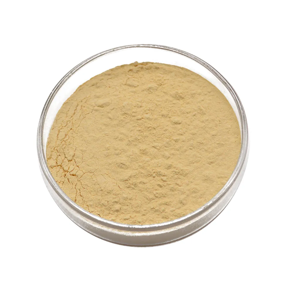 Factory Supply high quality ginseng extract ginsenoside 80%