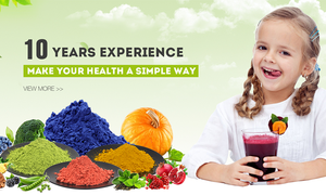 Polvere di Erba d'<span class=keywords><strong>Orzo</strong></span> Selvatica Liofilizzata di Grado Alimentare, Confezionamento in Fusti, Estratto Naturale Biologico Idrosolubile con Alto Contenuto Proteico - Product Image 4