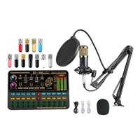 Carte son USB SK500 à vendre ensemble de microphone à condensateur anglais BM80
