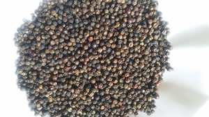 พริกไทยดำเวียดนาม550gl 500gl 5มม. จากเวียดนามขายดีที่สุด - Product Image 4