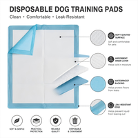 Tapis d'entraînement pour chiots et chiens, très résistants, écologiques, avec noyau en pâte de cellulose SAP, absorption rapide, support imperméable IPX7, nettoyage, OEM, en vrac