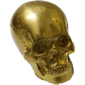 Mango de bastón con forma de calavera Vintage, empuñadura de Palma náutica con puntas de repuesto para peso de papel, uso como accesorio único para bastones - Product Image 3