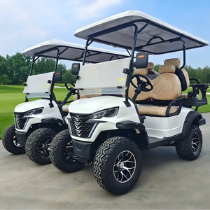 Mini camionnette électrique neuve d'une demi-tonne pour le transport de personnes (type voiturette de golf) - Product Image 1