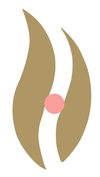 Shenzhen Honghui Mei Beauty Instrument Co., Ltd. logo
